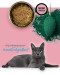 3COTY MIX 2 příchutě se spirulinou – mokré krmivo pro kočky – 24x80g - Fotogalerie 17