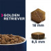EUKANUBA Breed Specific Golden Retriever Adult - suché krmivo pro psy - 12kg - Fotogalerie 2