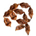 BULT Dried beef sausages - pamlsek pro psa - 12 - Fotogalerie 2