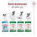 ROYAL CANIN Adult Mini S - suché krmivo pro psy - 4kg - Fotogalerie 6