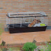 FERPLAST Casita 120 - Klec - Fotogalerie 11