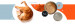3COTY Turkey with chicken and krill Senior - mokré krmivo pro kočky - 6x80g - Fotogalerie 6