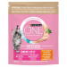 PURINA One Bifensis Junior - suché krmivo pro kočky - 800 g - Fotogalerie 1