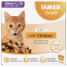 IAMS DELIGHTS Kitten in Jelly box – vlhké krmivo pro kočku – 8x85g - Fotogalerie 1