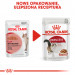 ROYAL CANIN FHN Instinctive - mokrá paštika pro dospělé kočky - 12x 85g - Fotogalerie 12