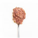 3COTY Turkey with chicken - mokré krmivo pro kočky - 24x80g - Fotogalerie 8
