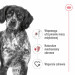 ROYAL CANIN Suché krmivo pro psy SHN Medium Adult BF 15 kg + SHN Medium Adult Loaf konzerva 410 g ZDARMA - Fotogalerie 10