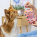 PERRO Mix & Match Cranberries - pamlsek pro psa - 10g - Fotogalerie 2