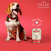 OLLO Pure Pork - vlhké krmivo pro psy - 850g - Fotogalerie 8