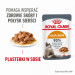 ROYAL CANIN Hair & Skin Care - mokré krmivo pro kočky - 12x85g - Fotogalerie 6