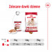 ROYAL CANIN Medium Adult mokré krmivo, paštika pro dospělé psy středních plemen. - Fotogalerie 4
