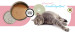 3COTY Turkey Senior - mokré krmivo pro kočky - 12x80g - Fotogalerie 6