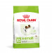 ROYAL CANIN Adult x- small SHN - suché krmivo pro psy - 1,5kg - Fotogalerie 1