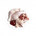 3COTY Chicken - mokré krmivo pro kočky - 12x80g - Fotogalerie 9