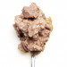 3COTY Chicken Struvite care - mokré krmivo pro kočky - 12x80g - Fotogalerie 9