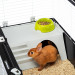 FERPLAST Casita 120 - Klec - Fotogalerie 7