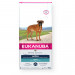 Eukanuba suché krmivo pro psy Adult Boxer 12 kg - Fotogalerie 1