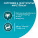PURINA One Bifensis Adult - suché krmivo pro kočky - 800 g - Fotogalerie 6