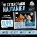 PETREPUBLIC Adult Halibut a makrela box – vlhké krmivo pro kočku – 4x100g - Fotogalerie 1