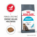 Royal Canin Urinary Care suché krmivo pro kočky 10 kg - Fotogalerie 3