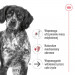 ROYAL CANIN Medium Ageing 7+ mokré krmivo, paštika pro starší psy středních plemen od 7 let věku. - Fotogalerie 6