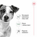 Royal Canin Mini Adult 8+ 8 kg Senior Drůbež, Rýže, Zeleninová - Fotogalerie 13
