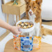 PERRO Mix & Match Pumpkin - pamlsek pro psa - 10g - Fotogalerie 2