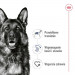 ROYAL CANIN Maxi Adult - suché krmivo pro psy - 15 kg + SHN Maxi Adult Loaf Can 410g GRATIS - Fotogalerie 28