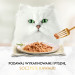 PURINA Gourmet Gold Succulent Delights Chicken - mokré krmivo pro kočky - 85g - Fotogalerie 12