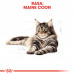 ROYAL CANIN FBN Maine Coon Adult suché krmivo pro kočky - 10kg - Fotogalerie 6