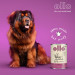 OLLO Umami Lamb and beef - vlhké krmivo pro psy - 400g - Fotogalerie 8