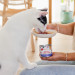 PERRO PERROland Soups Broth with beef Mono - pamlsek pro psy a kočky - 140 g - Fotogalerie 3