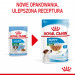 ROYAL CANIN Mini Puppy - vlhké krmivo pro psy - 12x85g - Fotogalerie 6