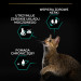 PURINA Pro Plan Sterilised Renal Turkey - suché krmivo pro kočky - 400g - Fotogalerie 6
