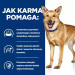 HILL'S PD Canine Digestive Care i/d Low Fat - mokré krmivo pro psy - 12x360g - Fotogalerie 5