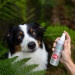 JM SANTE Green Sante - přírodní odpuzovač blech a klíšťat pro psa a kočku - 150 ml - Fotogalerie 2