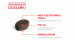 ROYAL CANIN Supplements Dog Skin & Coat Adult - vitamíny pro psa - 240g - Fotogalerie 2