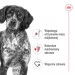 ROYAL CANIN Suché krmivo pro psy SHN Medium Adult BF 15 kg + SHN Medium Adult Loaf konzerva 410 g ZDARMA - Fotogalerie 33