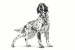ROYAL CANIN Gastrointestinal High Fibre Loaf VHN - vlhké krmivo pro psy - 200g - Fotogalerie 2