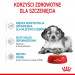 ROYAL CANIN Medium Puppy - vlhké krmivo pro psy - 10x140g - Fotogalerie 4