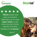 VETOQUINOL Drontal - tablety proti parazitům pro kočky - 2 ks. - Fotogalerie 3