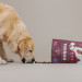 PERRO Gourmet Horse Cold-pressed - suché krmivo pro psy - 1kg - Fotogalerie 2