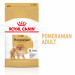 Royal Canin Pomeranian Adult 3 kg - Fotogalerie 6