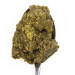 3COTY Turkey with chlorella Sterilised and overweight cats - mokré krmivo pro kočky - 6x80g - Fotogalerie 8