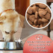 GILPA Kennel - suché krmivo pro psy - 15kg - Fotogalerie 2