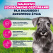 EUKANUBA Premium nutrition mature Small breed Chicken - suché krmivo pro psy - 3kg - Fotogalerie 2
