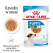 ROYAL CANIN Mini Puppy - vlhké krmivo pro psy - 12x85g - Fotogalerie 5