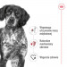 ROYAL CANIN Medium Adult mokré krmivo, paštika pro dospělé psy středních plemen. - Fotogalerie 6