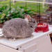 FERPLAST Krolik 140 Plus - Klec - Fotogalerie 7