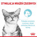 ROYAL CANIN Sensory Feel - mokré krmivo pro kočky - 12x85g - Fotogalerie 5